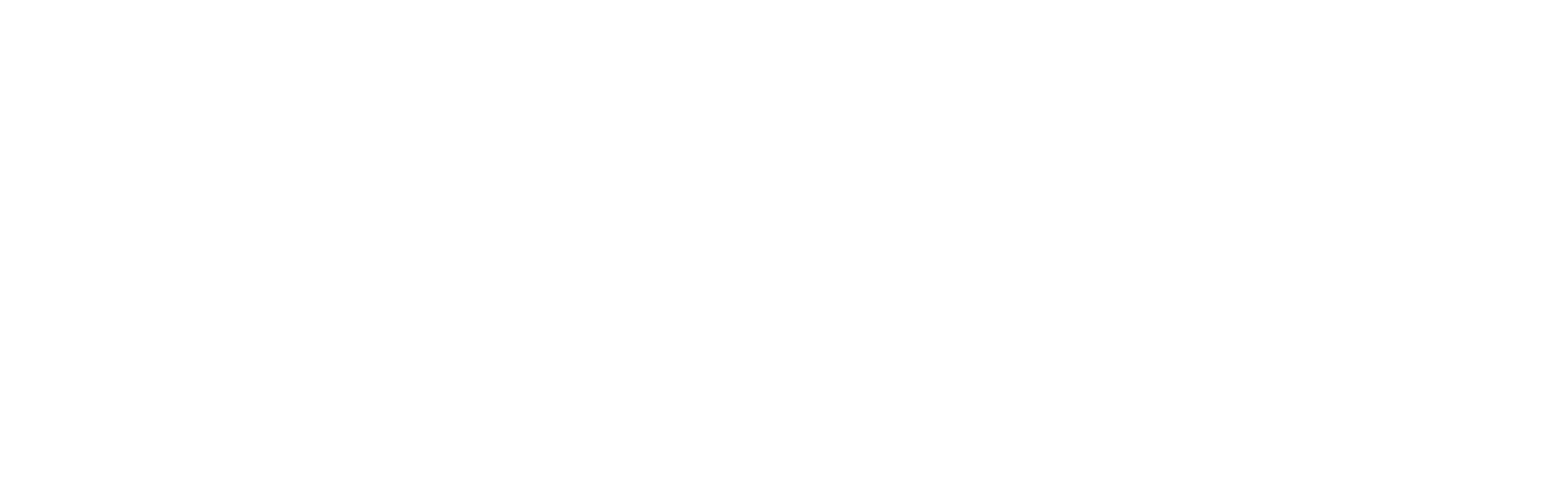 LossTeam-Logo-SC-long-white