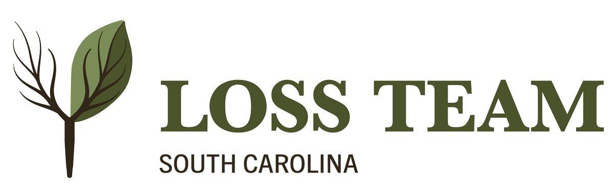 LossTeam-Logo-SC-long